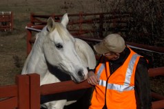 A Country Doctor and his horse, Thanksgiving 2012